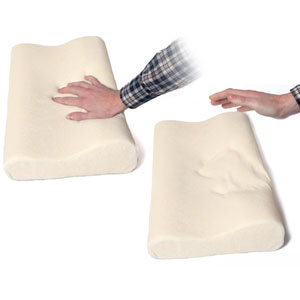 Luxury Memory Foam Pillow (2 pack)- $30 with Free Shipping