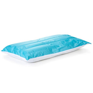 iBasics Cooling Pillow- $33 with Free Shipping