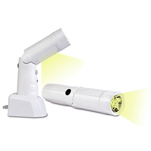 iBasics Super-Bright 12-LED Motion Sensor with Flashlight- $17 with free shipping