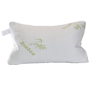 2 Pack Bamboo Memory Foam Pillow- $49.99 with Free Shipping